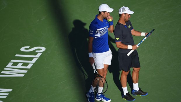 Djokovic/Fognini exit in Indian Wells semi-finals - Novak ...